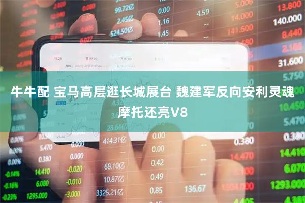 牛牛配 宝马高层逛长城展台 魏建军反向安利灵魂摩托还亮V8